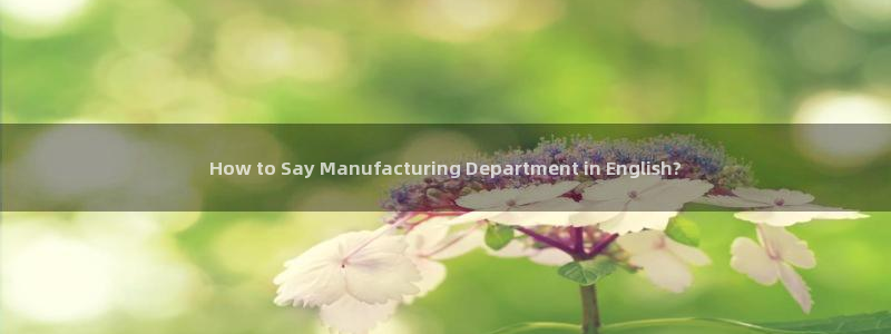彩神vll趣投彩：How to Say Manufactur