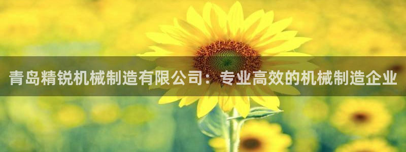 彩神v8手机客户端下载：青岛精锐机械制造有限公司：专业高效的