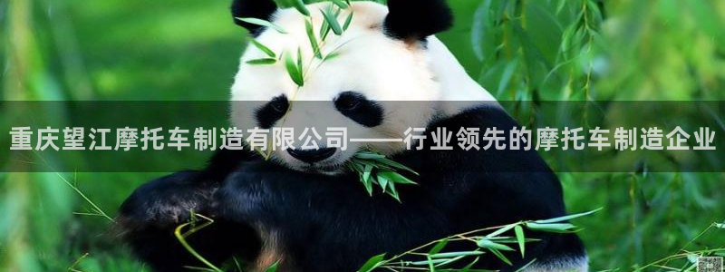 彩神vll首页
