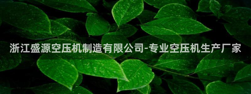 彩神8官网版是正规的吗：浙江盛源空压机制造有限公司-专业空压