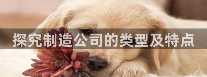 彩神V集团有限公司：探究制造公司的类型及特点