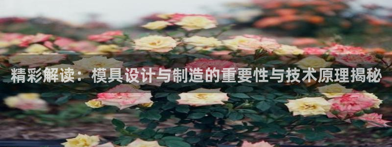 彩神8官网下：精彩解读：模具设计与制造的重要性与技术原理揭秘