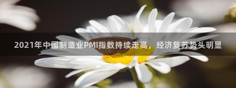 彩神平台：2021年中国制造业PMI指数持续走高，经济复苏势头明显