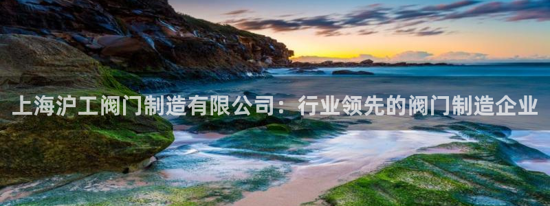 彩神v争霸是啥：上海沪工阀门制造有限公司：行业领先的阀门制造企业