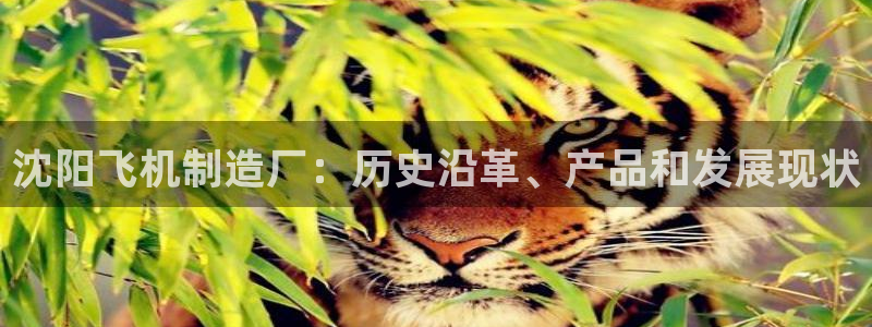 彩神8是正规平台吗：沈阳飞机制造厂：历史沿革、产品和发展现状