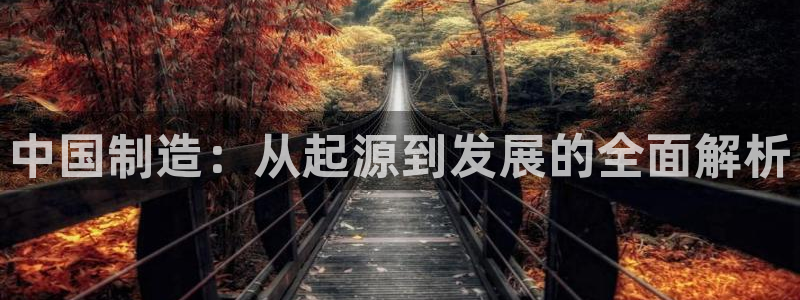 新版彩神v8登录：中国制造：从起源到发展的全面解析