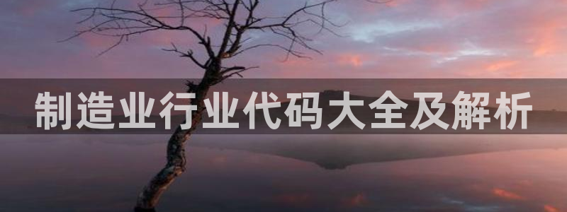 彩神ix可靠吗：制造业行业代码大全及解析