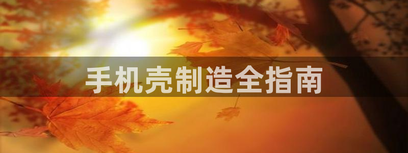 彩神8下载安卓版-彩神8(可提现)官网版1.0.0：手机壳制