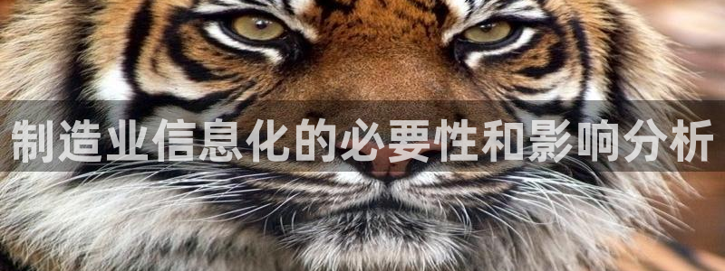 彩神vll首页：制造业信息化的必要性和影响分析