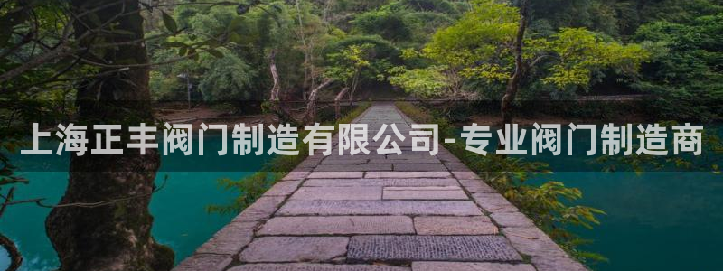 彩神赢钱了吗是真的吗：上海正丰阀门制造有限公司-专业阀门制造