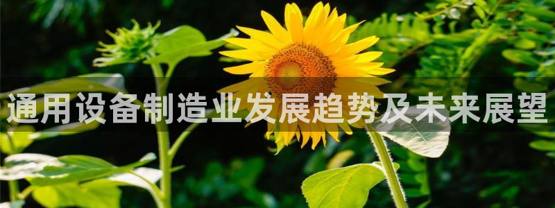 彩神8官网500：通用设备制造业发展趋势及未来展望