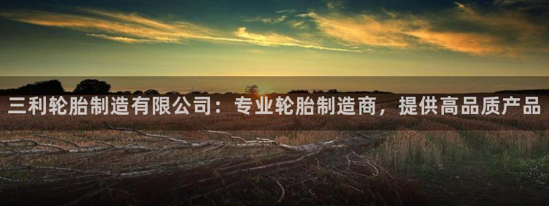 彩神v8iii：三利轮胎制造有限公司：专业轮胎制造商，提供高品质产品