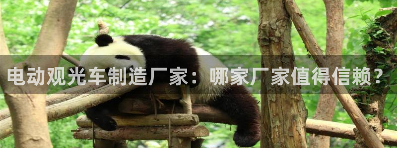 彩神赢钱了吗：电动观光车制造厂家：哪家厂家值得信赖？