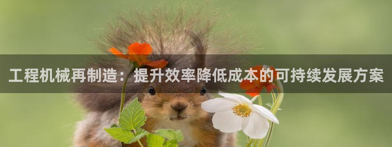 彩神vllⅰ购彩大厅：工程机械再制造：提升效率降低成本的可持续发展方案