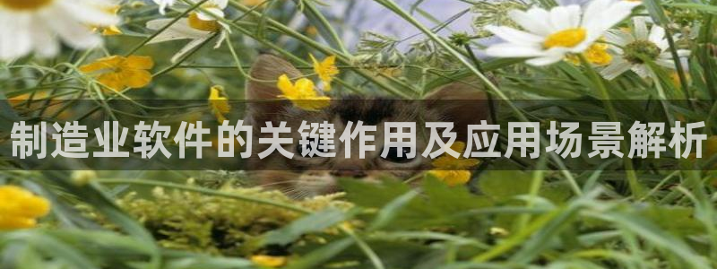 彩神平台是什么套路：制造业软件的关键作用及应用场景解析