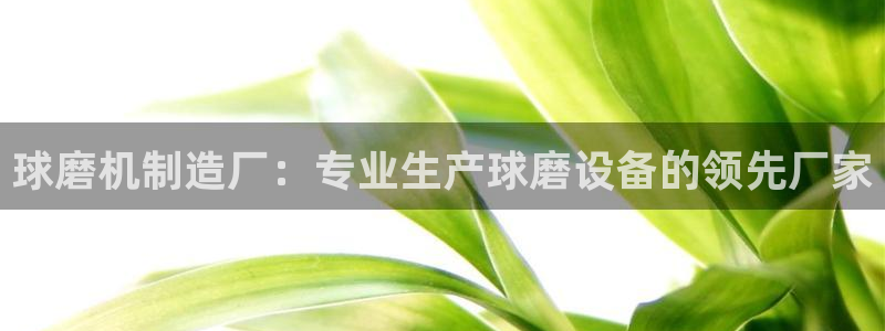 彩神v8是真的挣钱吗：球磨机制造厂：专业生产球磨设备的领先厂家