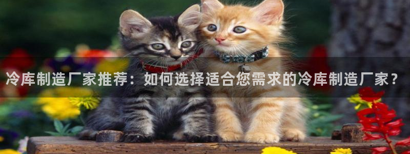 彩神平台注册登录：冷库制造厂家推荐：如何选择适合您需求的冷库