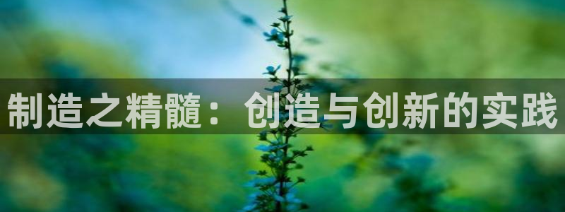 彩神8官网合法吗：制造之精髓：创造与创新的实践