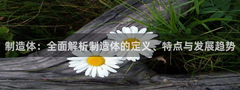 彩神8最新版下载：制造体：全面解析制造体的定义、特点与发展趋势