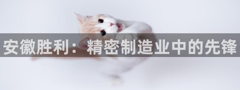 彩神8app官方下载：安徽胜利：精密制造业中的先锋