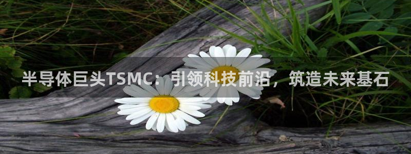 彩神8是正规平台吗安全吗：半导体巨头TSMC：引领科技前沿，筑造未来基石