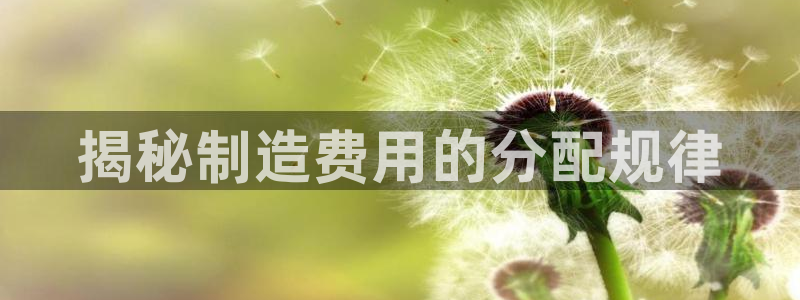 彩神到底能不能赚钱：揭秘制造费用的分配规律