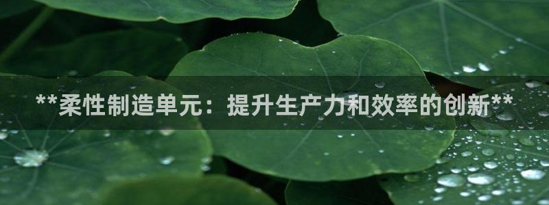 彩神vlll(中国)百度百科：**柔性制造单元：提升生产力和效率的创新**