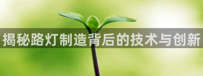 彩神怎么才能赢：揭秘路灯制造背后的技术与创新