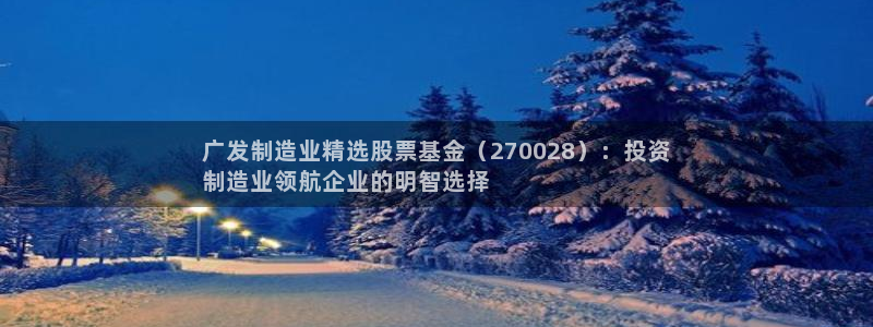 彩神ix官网是哪个公司的：广发制造业精选股票基金（270028）：投资
制造业领航企业的明智选择