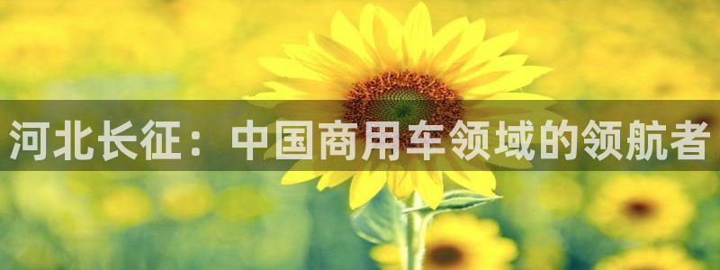 彩神旗下有哪些平台可以玩：河北长征：中国商用车领域的领航者