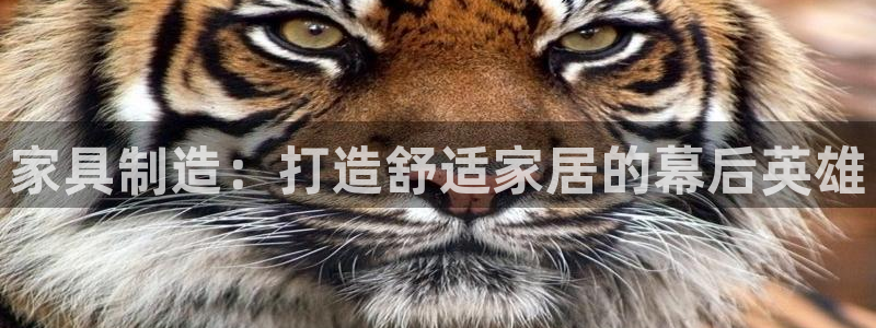 彩神趣购彩用户注册