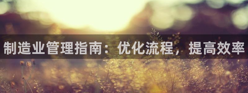 彩神Vll：制造业管理指南：优化流程，提高效率