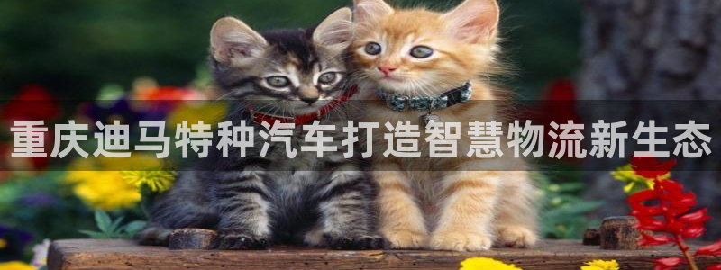 彩神vll官网-最新版app下载：重庆迪马特种汽车打造智慧物流新生态