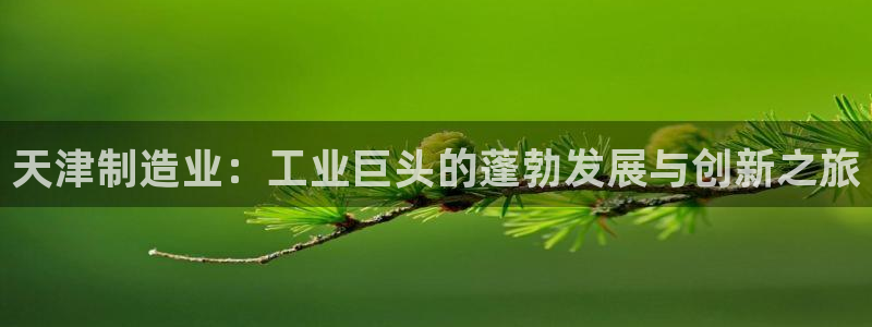 彩神v8手机客户端怎么下载：天津制造业：工业巨头的蓬勃发展与创新之旅