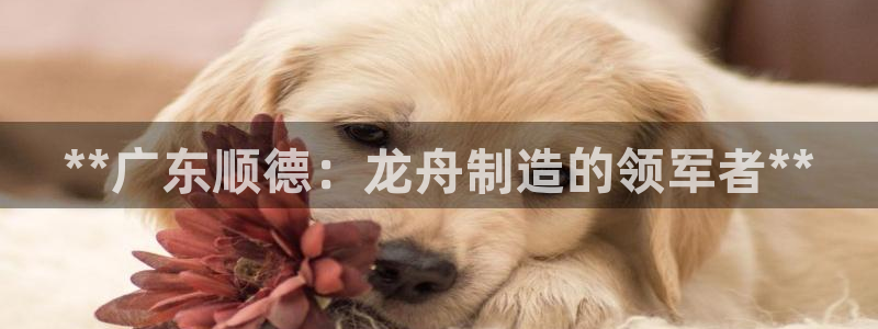 彩神v平台：**广东顺德：龙舟制造的领军者**