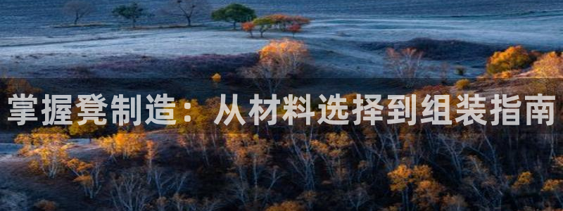 彩神是什么平台：掌握凳制造：从材料选择到组装指南