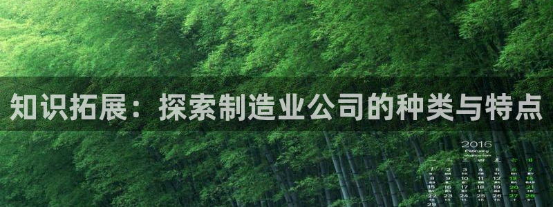 新版彩神v8登录教程：知识拓展：探索制造业公司的种类与特点