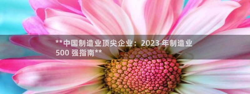 彩神v：**中国制造业顶尖企业：2023 年制造业 
500 强指南**