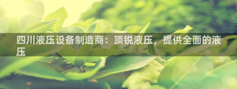 彩神v8iii：四川液压设备制造商：顶锐液压，提供全面的液
压