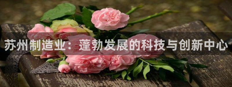 彩神大发黑平台：苏州制造业：蓬勃发展的科技与创新中心
