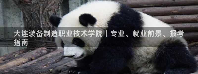 彩神平台是什么套路：大连装备制造职业技术学院｜专业、就业前景、报考
指南