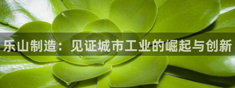 彩神Vii购彩-购彩大厅：乐山制造：见证城市工业的崛起与创新