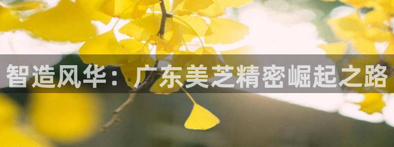 彩神8是正规平台吗是正品吗：智造风华：广东美芝精密崛起之路