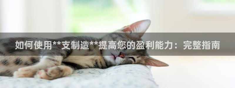 下载彩神通关注码：如何使用**支制造**提高您的盈利能力：完整指南