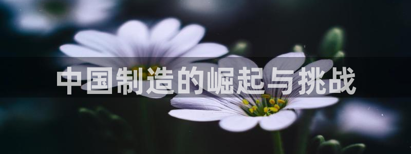 彩神8彩平台：中国制造的崛起与挑战