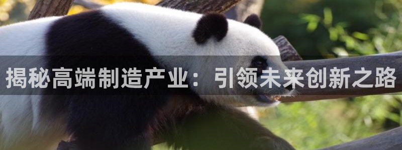 彩神viii是正规平台吗?：揭秘高端制造产业：引领未来创新之路