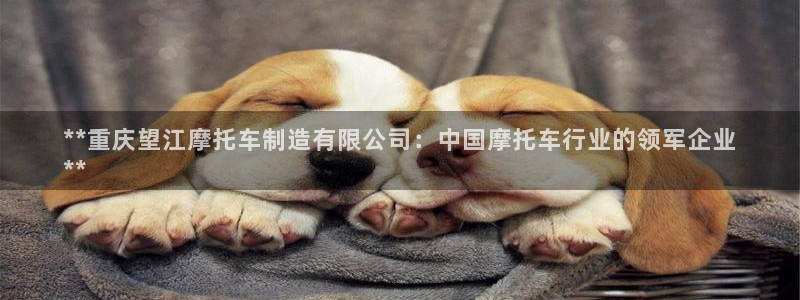 彩神赢的钱是哪里来的啊：**重庆望江摩托车制造有限公司：中国摩托车行业的领军企业
**