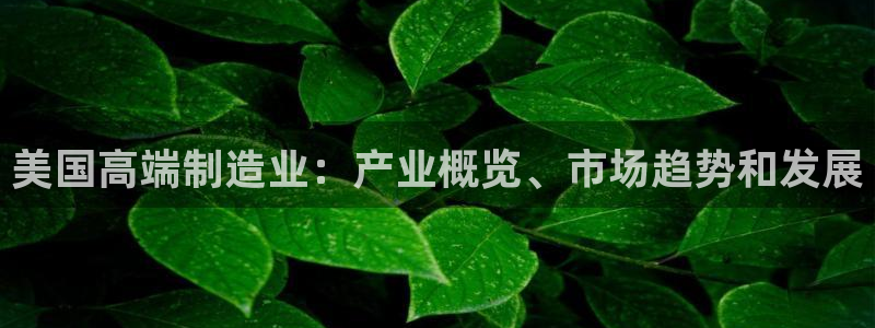 彩神v大众娱乐：美国高端制造业：产业概览、市场趋势和发展