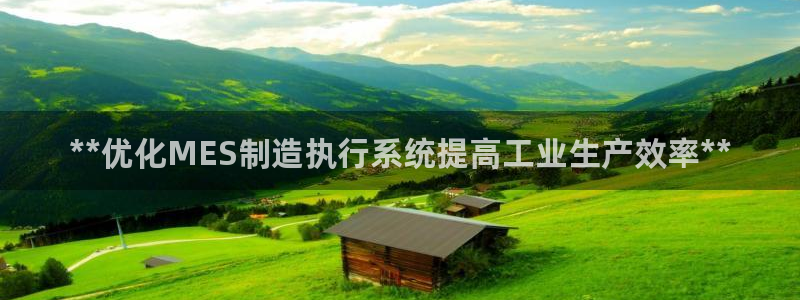 彩神大发云：**优化MES制造执行系统提高工业生产效率**