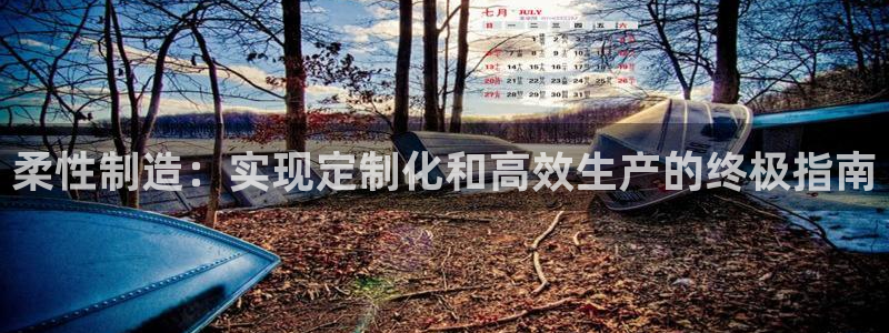 彩神8是正规平台吗：柔性制造：实现定制化和高效生产的终极指南